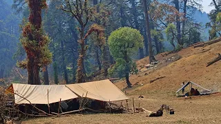 Nepali Himalayan Sheep Shepherd Life | Shepherd  Food Cooking & Eating | Peaceful Shepherd Life |