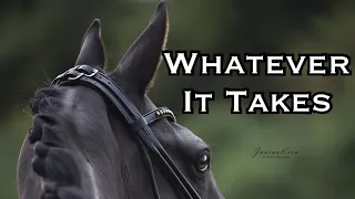 Whatever It Takes || Equestrian Music Video ||