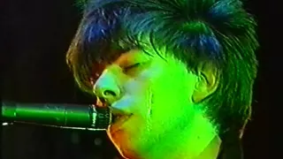 Echo & The Bunnymen Live Sefton Park 26/08/82