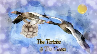 Bidpai Fables - The Tortoise & The Geese - Short Moral Story