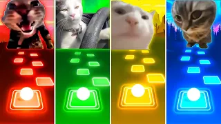 Doorbell Cat vs Driving Cat vs Vibing Cat vs Chipi Chipi Chapa Chapa Cat - Tiles Hop EDM Rush