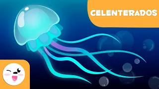 Celenterados para crianças - Animais invertebrados - Ciências para crianças