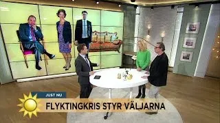 "Jimmie Åkesson har hämtat väljare från alla partier" - Nyhetsmorgon (TV4)