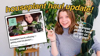 🪴👀 one-year GROWTH UPDATES from my planthaven toronto haul