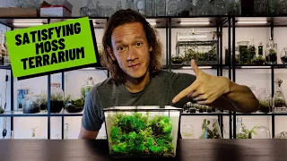 How To Make A Moss Terrarium (Mossarium)