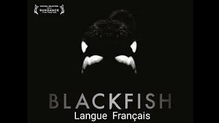 Blackfish - Documentaire - 2013 - Langue Français - Blackfish - Documentary - 2013 - French