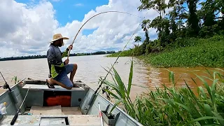 PIRARARA GIGANTE , JAÚ , PIRARUCU , A VARA DE BAMBU TRABALHOU BONITO/PESCARIA NA REGIÃO DA AMAZÔNIA.