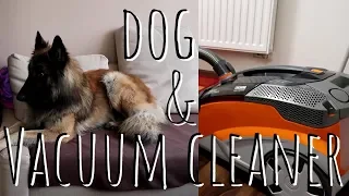 Dog Vs. Vacuum cleaner | Thomas Aqua Pet and Family Review