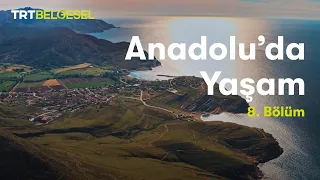 Anadolu'da Yaşam | Deniz | TRT Belgesel