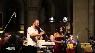 Kurdistan-Kurdish Musik Aynur & Morgenland Chamber Orchestra Cut