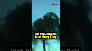 Saola Typhoon Hong Kong | High Winds, Heavy Rain Bash Hong Kong | English News | N18S #shorts #viral