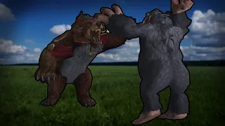 Gorilla VS Bear