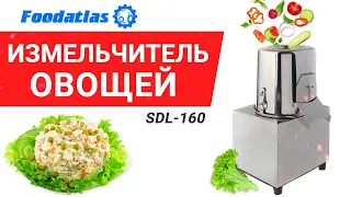 Видео работы измельчитель для овощей SDL-160 Foodatlas, бизнес салаты, нарезка овощей