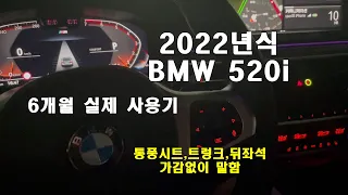 Diary 136- BMW 520i 사용기 장점&단점 , 그리고 옵션들 통풍시트,트렁크,뒤좌석 실사용자에게 필요한 정보드림