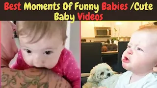 Cute and Funny Babies Crying Moments - Funniest Home Videos |cute and funny babies