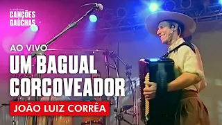 João Luiz Corrêa - Um Bagual Corcoveador (Ao Vivo - Show DVD)