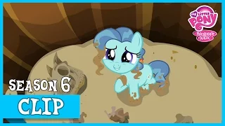 Petunia's Cutie Mark (The Fault In Our Cutie Marks) | MLP: FiM [HD]