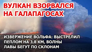 Вулкан взорвался на Галапагосах. Мощное извержение вулкана Вольф в Эквадоре: столб пепла в 4 км