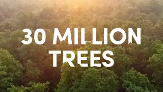 🌱 30 Million Trees 🎉 | Ecologi