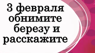 3 февраля обнимите березу и расскажите о своей проблеме