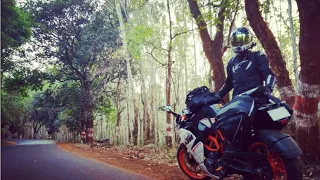 THE GHOST IN THE WOODS |  Why I avoid riding at night to Goa