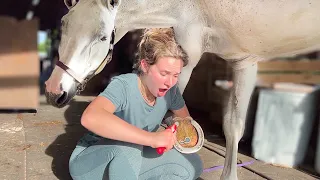PULLING GIANT NAIL FOUND STUCK IN HORSE HOOF!