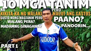 10 TANIM NA KIKITA KA NG MALAKI PERO MALIIT ANG GASTOS - PART 1| D' GREEN THUMB