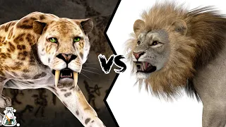 SABER-TOOTHED TIGER VS AMERICAN LION - Which Wild Cat Was Stronger?