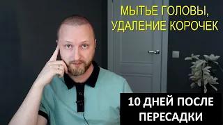 МЫТЬЕ ГОЛОВЫ | СНЯТИЕ КОРОЧЕК | ПЕРЕСАДКА ВОЛОС