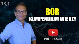 Professor odc  28 - Bor  – kompendium wiedzy