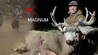 FREAK OF A MULE DEER