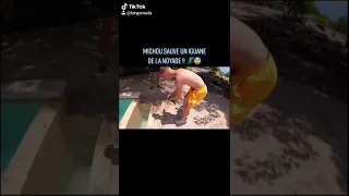 Michou sauve un Iguane de la noyade 😨🦎