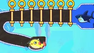 Save the Fish Game / Fishdom ads mini Game / Pull the Pin  / Update level gameplay/ Fishy Gaming