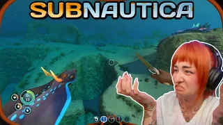 Fish or Oxygen, which is more dangerous? - Subnautica