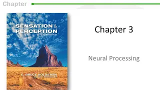 Sensation and Perception: Chapter 3 - Lateral Inhibition