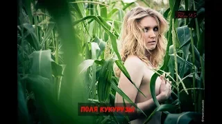 Поля кукурузы +18 Corn fields (2017)