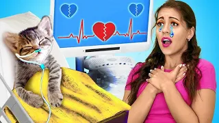 Sauvetage extrême d'animaux à l'hôpital ! Une chatte a donné naissance à des chatons !