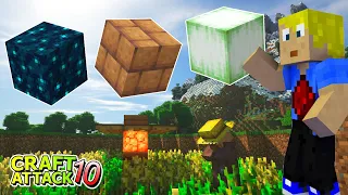 Nachbarn & Pläne: Trymacs, Rumathra, Gtime, Sebo! - Minecraft Craft Attack 10 #05