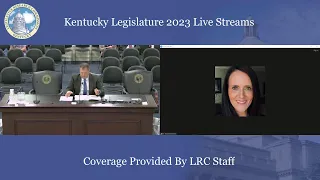 Capital Projects and Bond Oversight Committee (8-23-23)