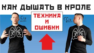 КАК ДЫШАТЬ В КРОЛЕ. ОШИБКИ ТВОЕГО ДЫХАНИЯ. СОВЕТЫ ТРЕНЕРА