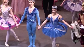 'The Sleeping Beauty.' The Royal Ballet. Nunez/Muntagirov. 15/01/20.