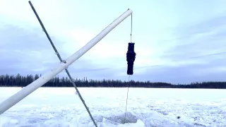 СООРУДИЛ ПОДЛЁДНИКИ НА ЯКУТСКИХ МОНСТРОВ! Якутия. Первый лед 2023-2024. Зимняя рыбалка.