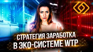 Стратегия заработка в ЭКО СИСТЕМЕ  WTP - Янина Рэй