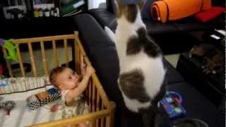 Baby tries to  catch cat's tail