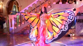 Шоу крылья бабочки - Нигматулина Регина