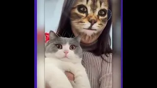 смешные коты 😍😘🥰 реакция кошек на маски 😅