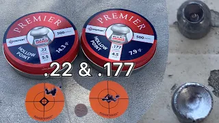 The Best Airgun Pellets for the Money! (Crosman Premier Hollow Points)