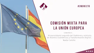 Comisión Mixta para la Unión Europea (22/06/2021)