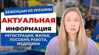 НИДЕРЛАНДЫ: УБЕЖИЩЕ ДЛЯ БЕЖЕНЦЕВ ИЗ УКРАИНЫ. Пособия, Регистрация, Жилье, Работа | Ответы на вопросы