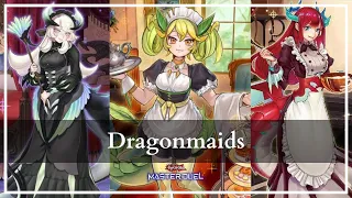 Branded Dragonmaids - Building and practicing this new deck [Yu-Gi-Oh! Master Duel] pt.1